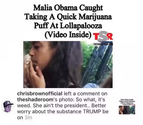 Worry about what Trump is smoking - Chris Brown defends Malia Obama over alleged smoking video